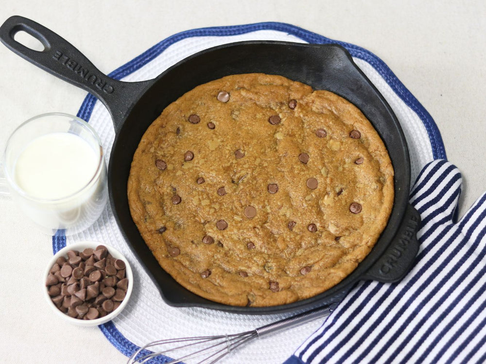 Pre-Seasoned Cast Iron Skillet