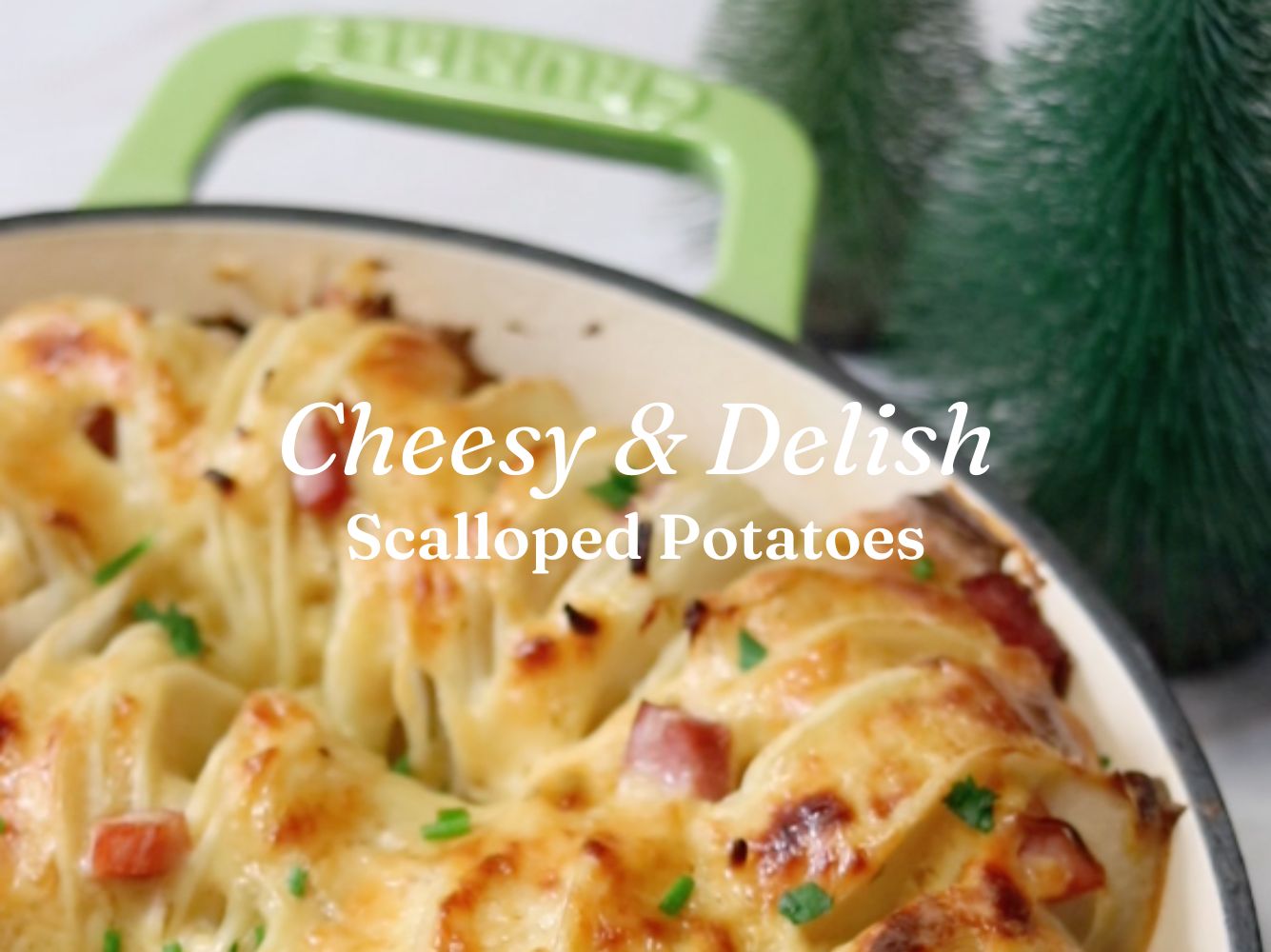 Cheesy Scalloped Potatoes