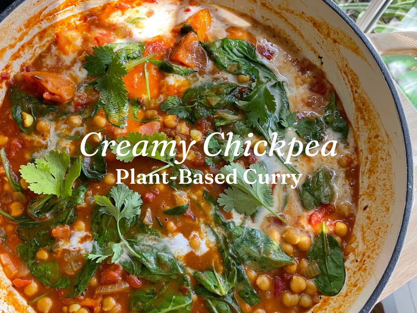 Vegan Chickpea Curry