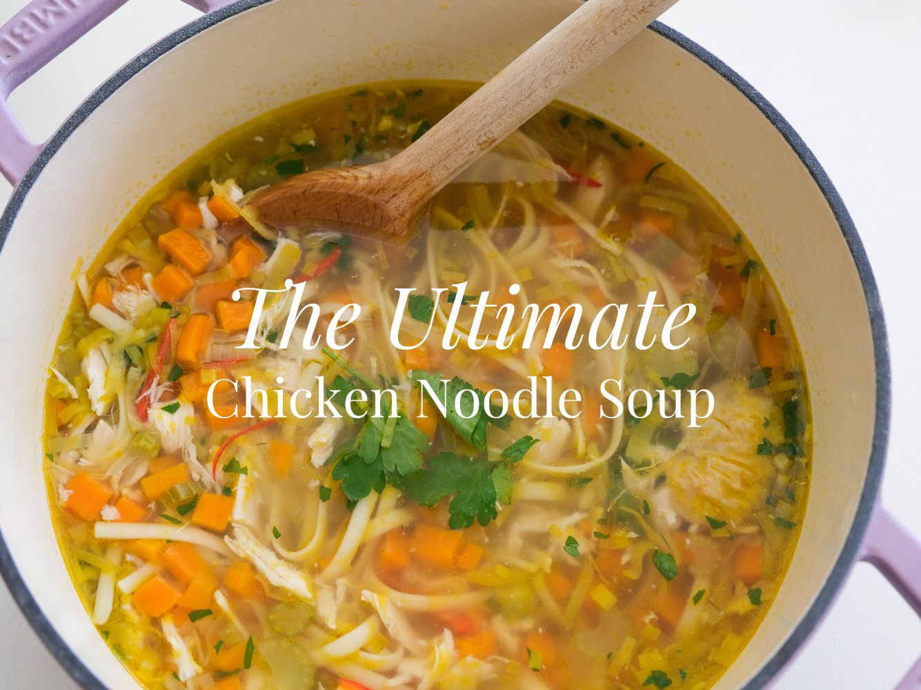 The Ultimate Chicken Noodle Soup