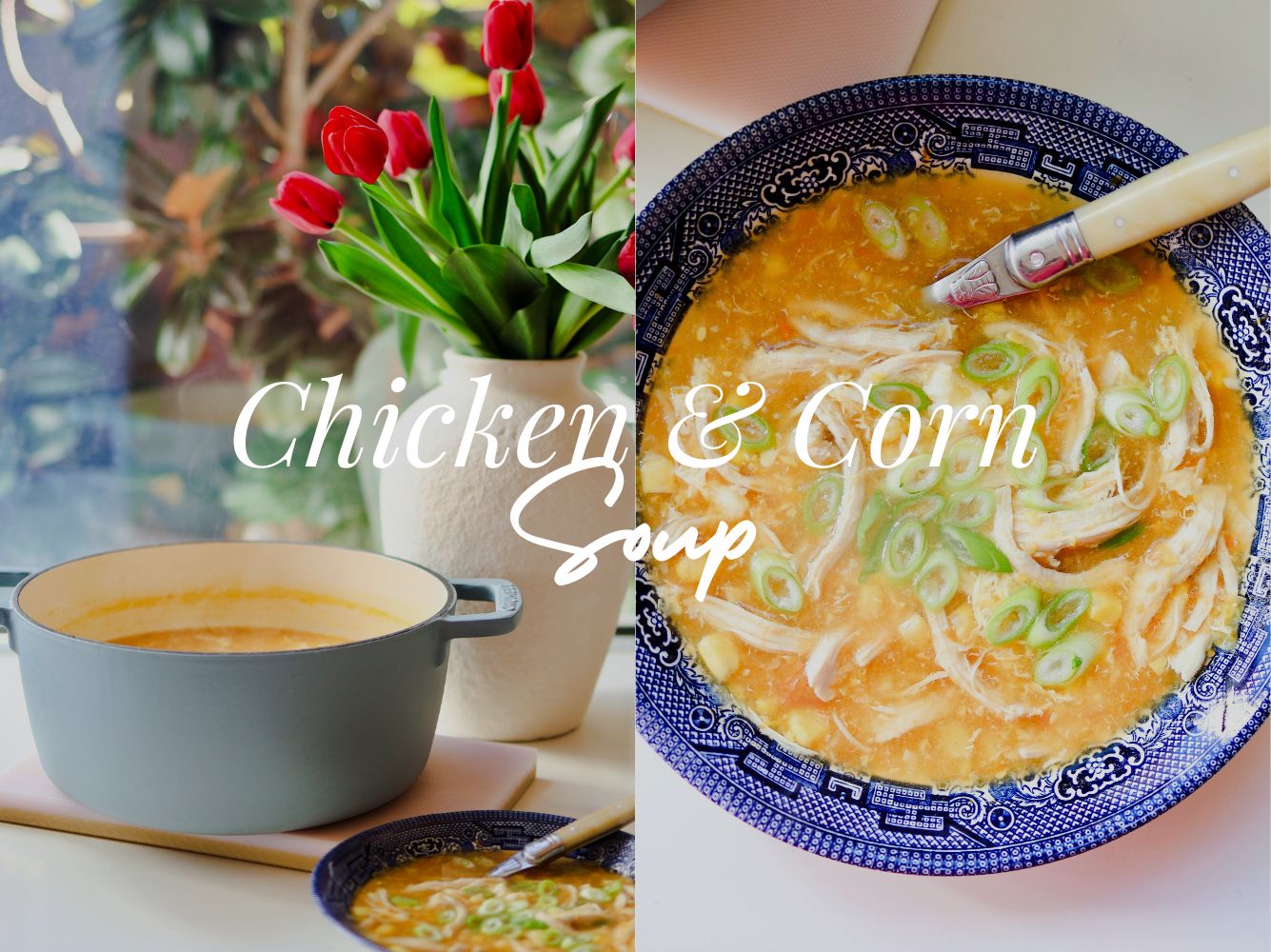 Chicken & Corn Soup