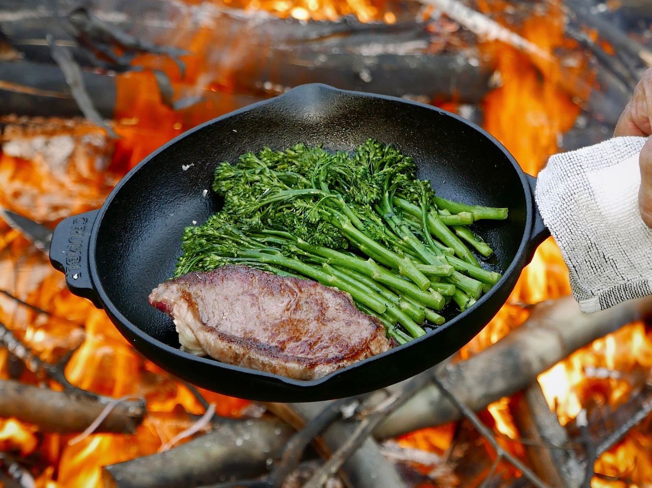 Pre-Seasoned Cast Iron Skillet